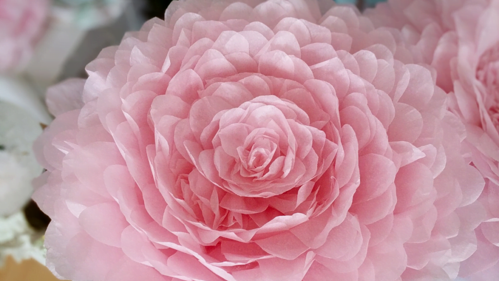 giant pink tissue paper flower -blooming archives