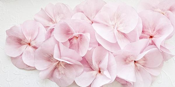Coffee Filter Flowers Ideas Pink flowers