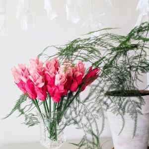 cookie policy image its blooming paper