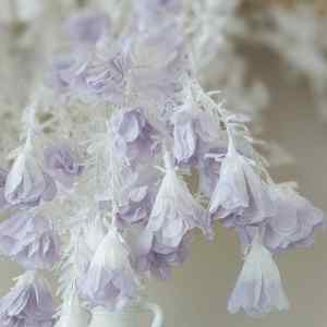 privacy policy page image pale purple hanging flowers