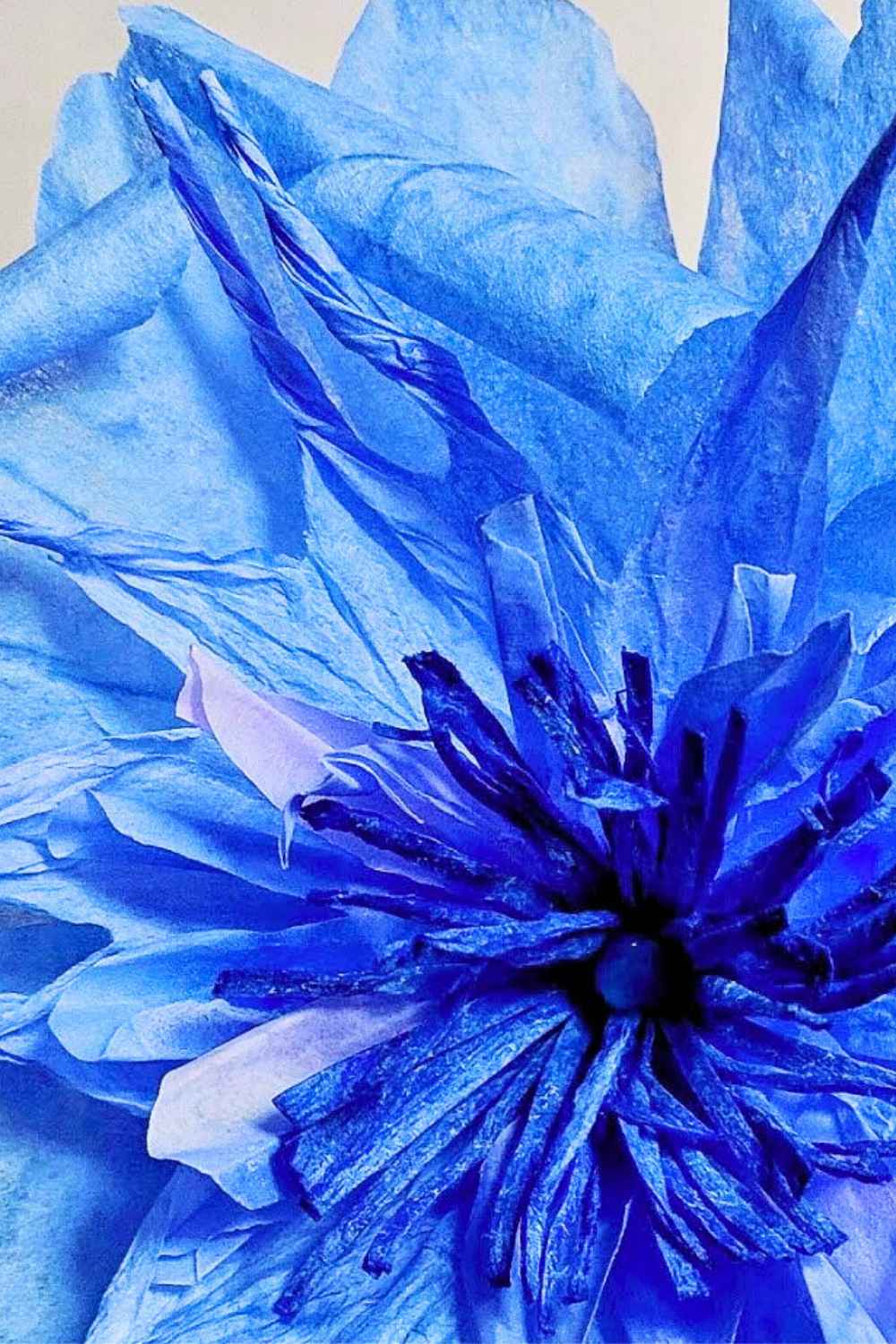 handmade-paper-flowers-to-boost-your-creativity-its-blooming-paper