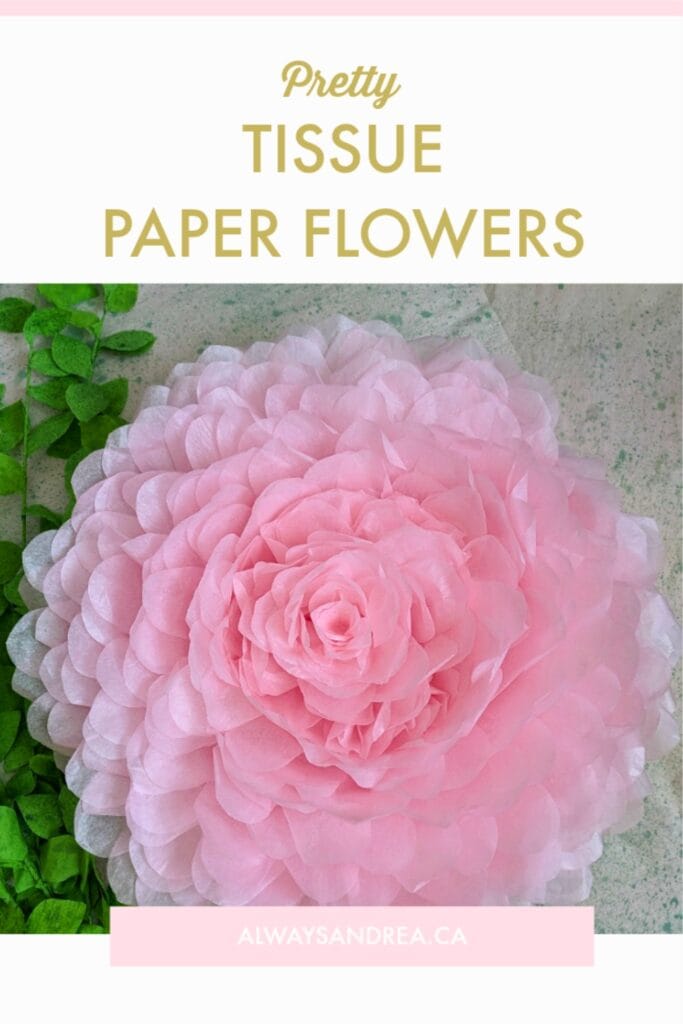 giant pink tissue paper flower - blooming archives