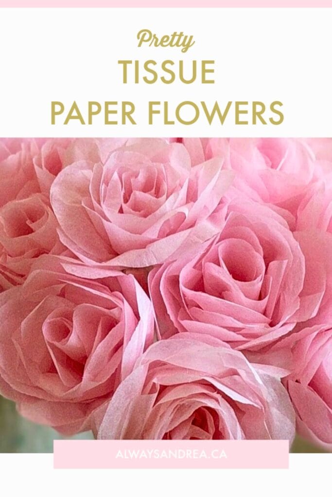 pink tissue paper roses -blooming archives