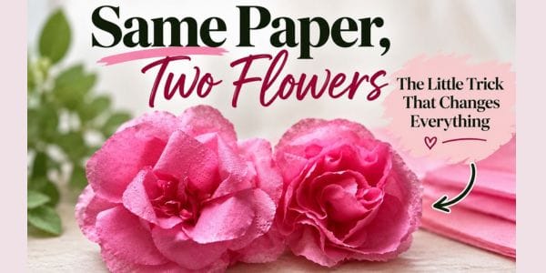 two beautiful pink flowers